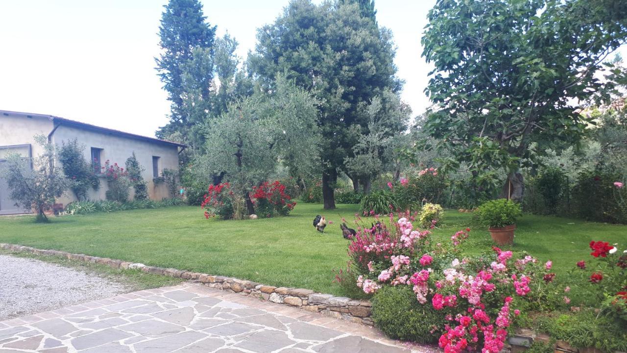 B&B L'Oliveto Lucignano Kültér fotó
